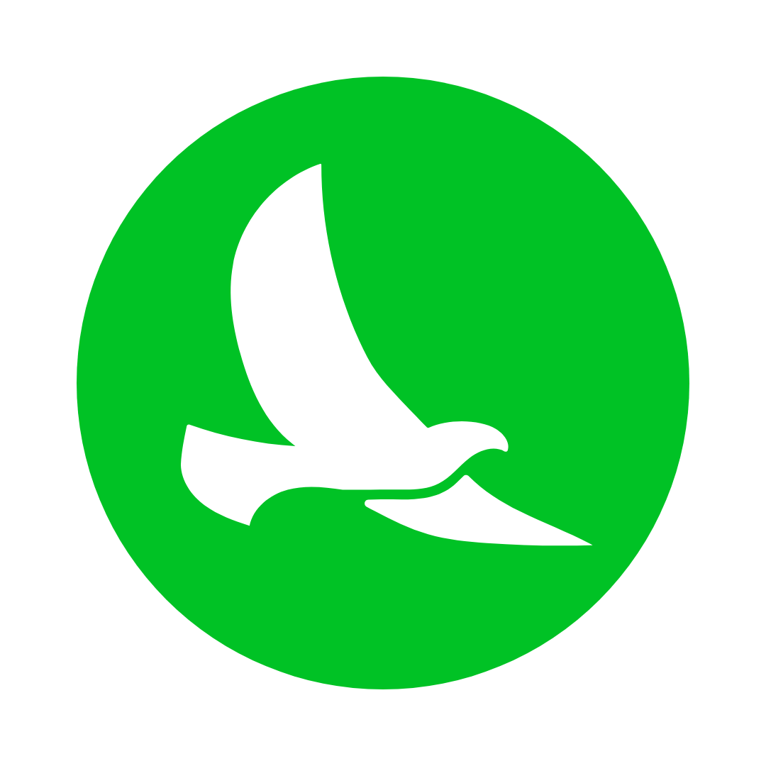 Magicallife Visuals Logo